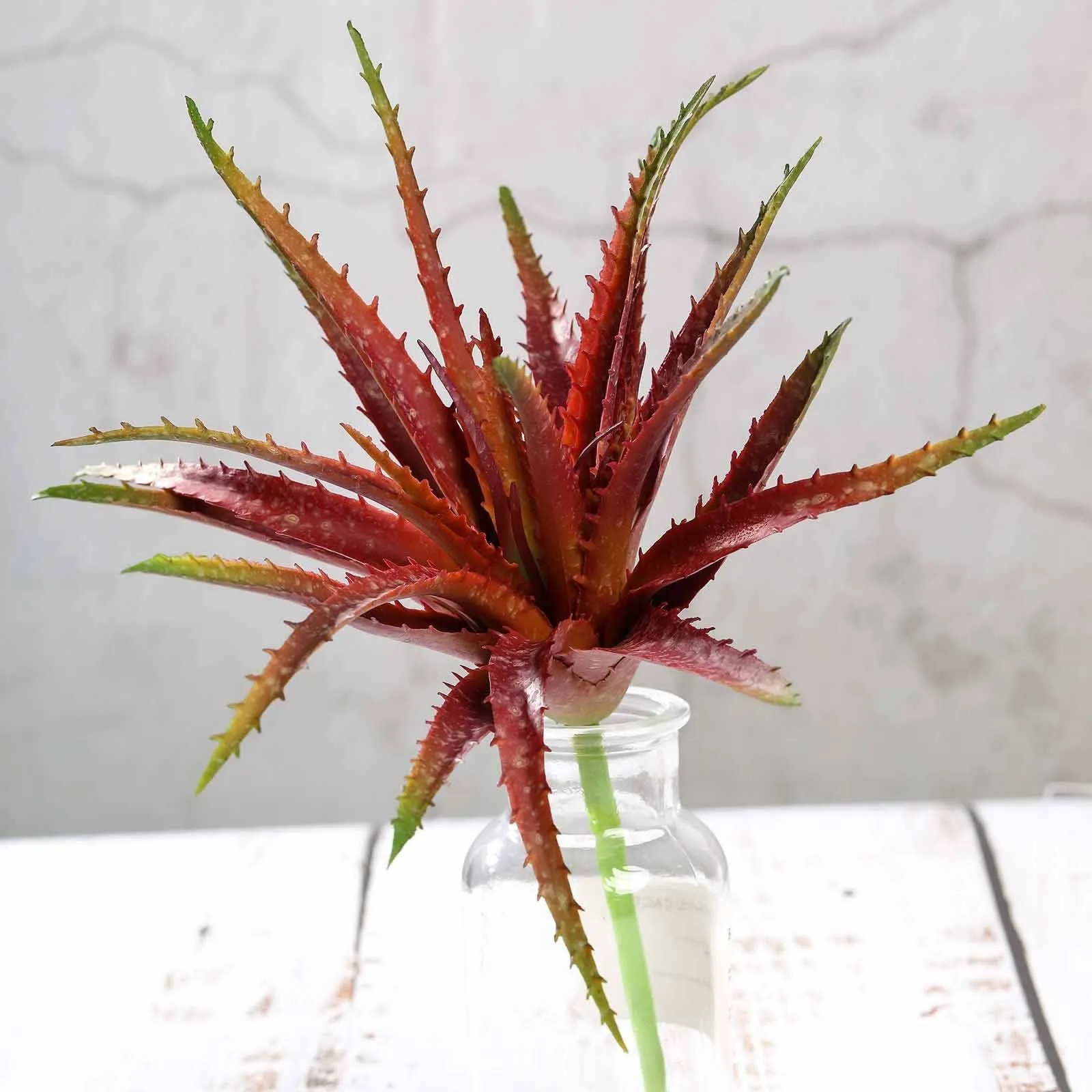 Set of 3 | 12" Aloe Cameronii Decorative Artificial Plants